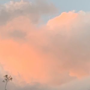 Meet your Posher, Amyia